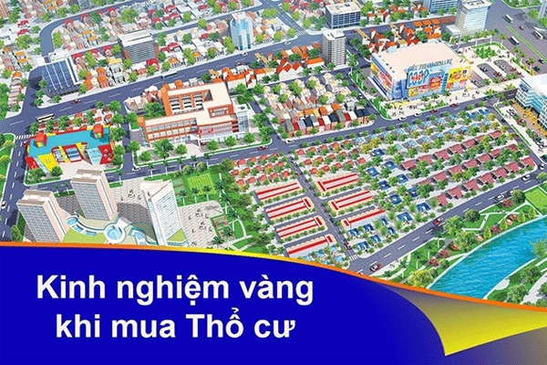 13 kinh nghiệm vàng khi mua nhà đất Cần Giờ