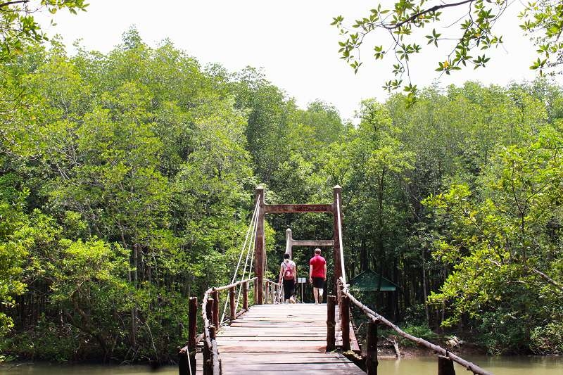 9 Khu dự trữ sinh quyển thế giới ở Việt Nam