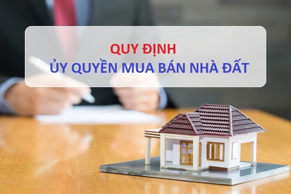 Thủ tục ủy quyền mua bán nhà đất Cần Giờ