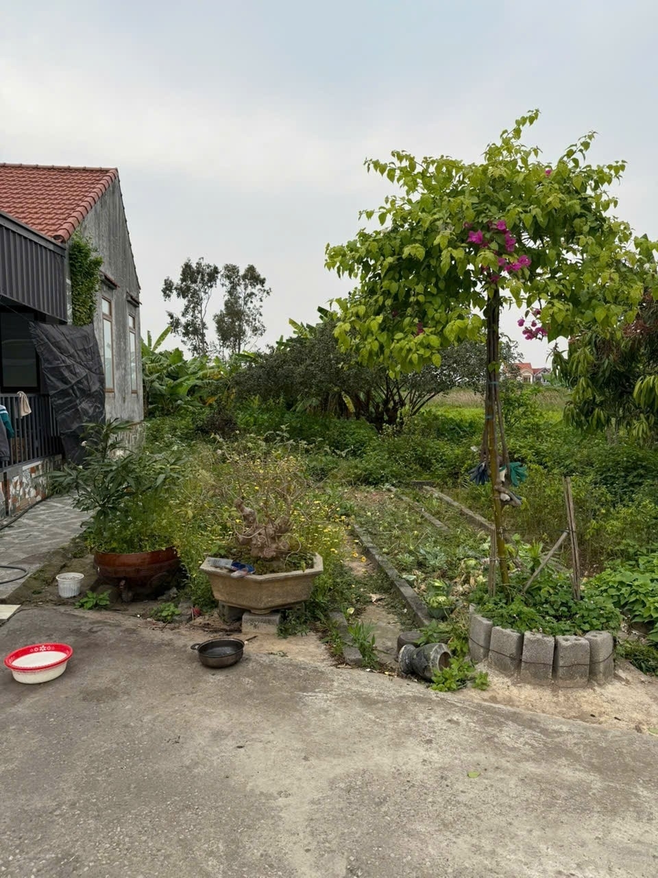 1.x Tỷ Lô Đất 78m2 View Ao Thoáng Mát Tại Hòa Nghĩa - ZALO 0567 222 555