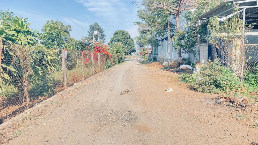 2 lô đất nhánh lý thái tổ, đối diện hồ nam sơn, trung tâm đức trọng, lâm đồng