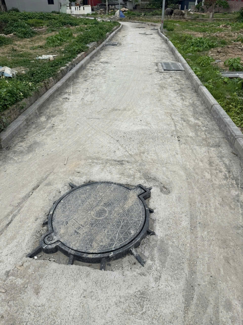 69m đất thôn Ấp Quan - tổ 9 Quang Minh Mê Linh đường rộng oto đỗ mà giá chưa đến 2 tỷ