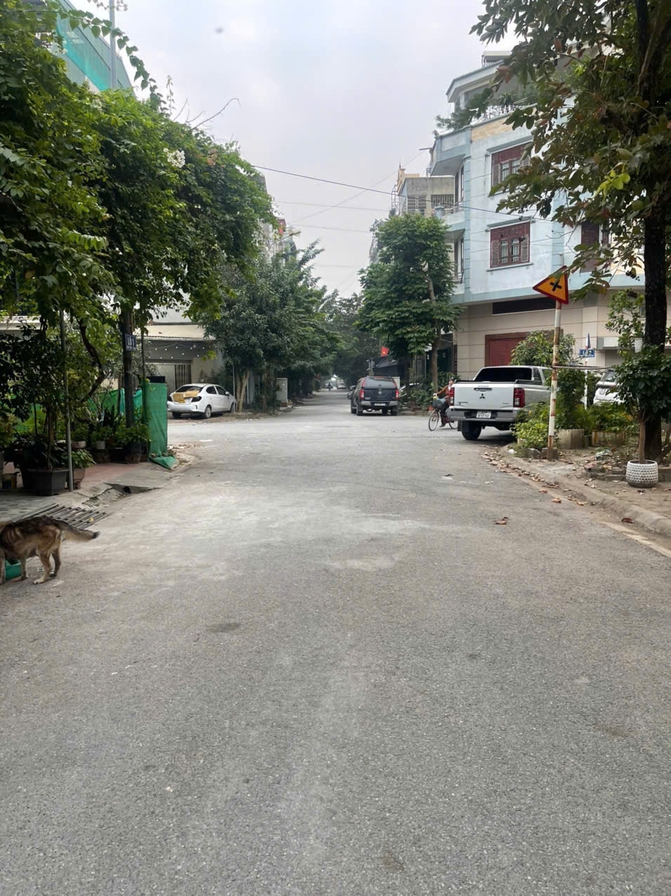 Bán 40m² PHÂN LÔ TU HOÀNG – ĐƯỜNG 13M – VỈA HÈ – VIEW VƯỜN HOA - NHỈNH 9 TỶ