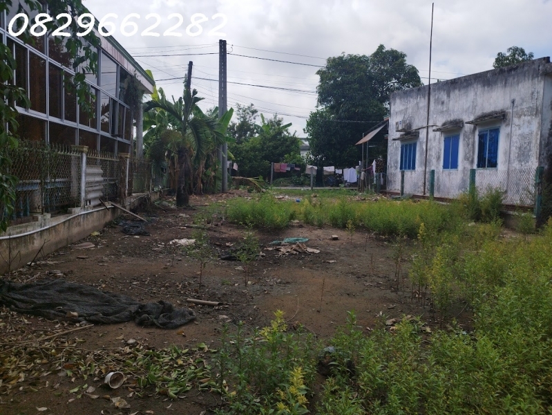 Bán 500m2 Đất Thổ Cư Sổ Hồng ĐN Tân Khánh Đông TP Sa Đéc. Giá 2.6 Tỷ.