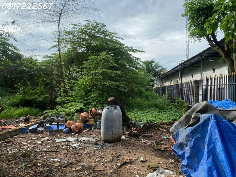 Bán đất chính chủ đường DX098 phường Hiệp An Thủ Dầu Một Bình Dương