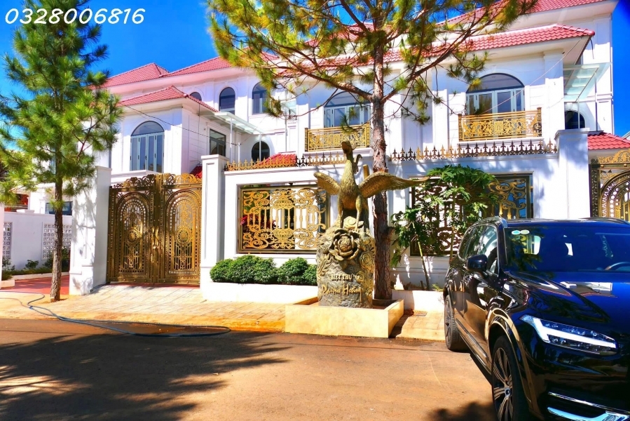 Bán đất đẹp xuất sắc tại Phường Trà Đa Plei Ku Gia Lai DT 198 m2 giá 12 triệu/m2