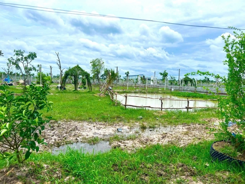 * BÁN ĐẤT NGHỈ DƯỠNG TRUNG TÂM GÒ DẦU – CƠ HỘI ĐẦU TƯ SINH LỜI TẠI TÂY NINH