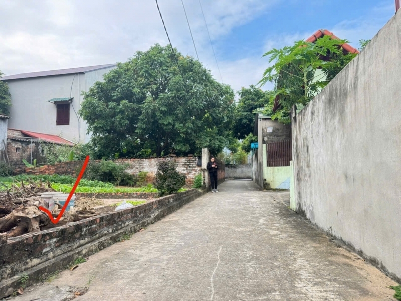 Bán đất thôn Xuân Lễ Tân Dân Sóc Sơn. Gần đường quốc lộ 35 và chợ Nam Cương