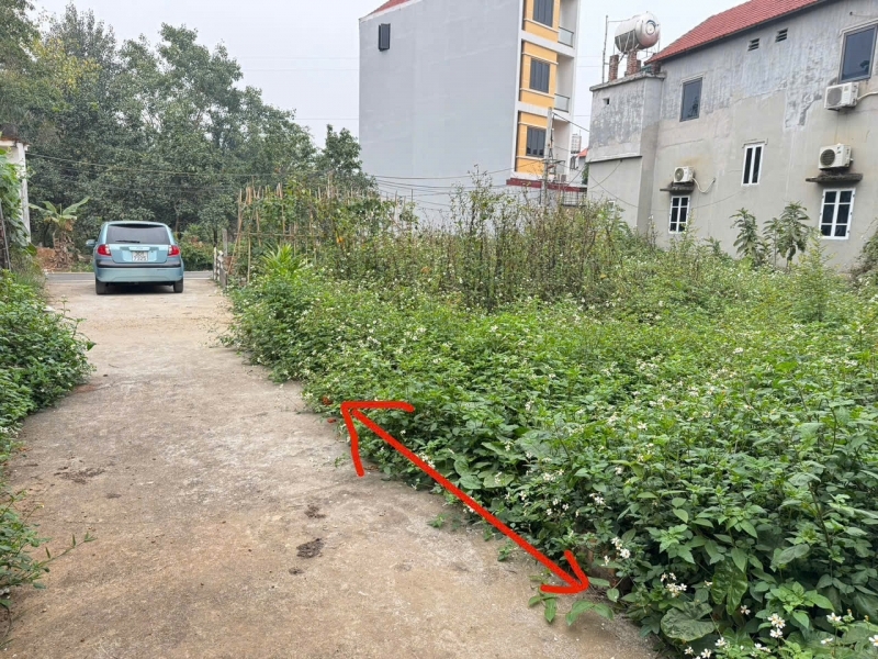 Bán Gấp Đất Thôn Phú Hữu Thanh Lâm Mê Linh - 57m2 Vuông Vắn - Giá Rẻ Nhất Khu Vực