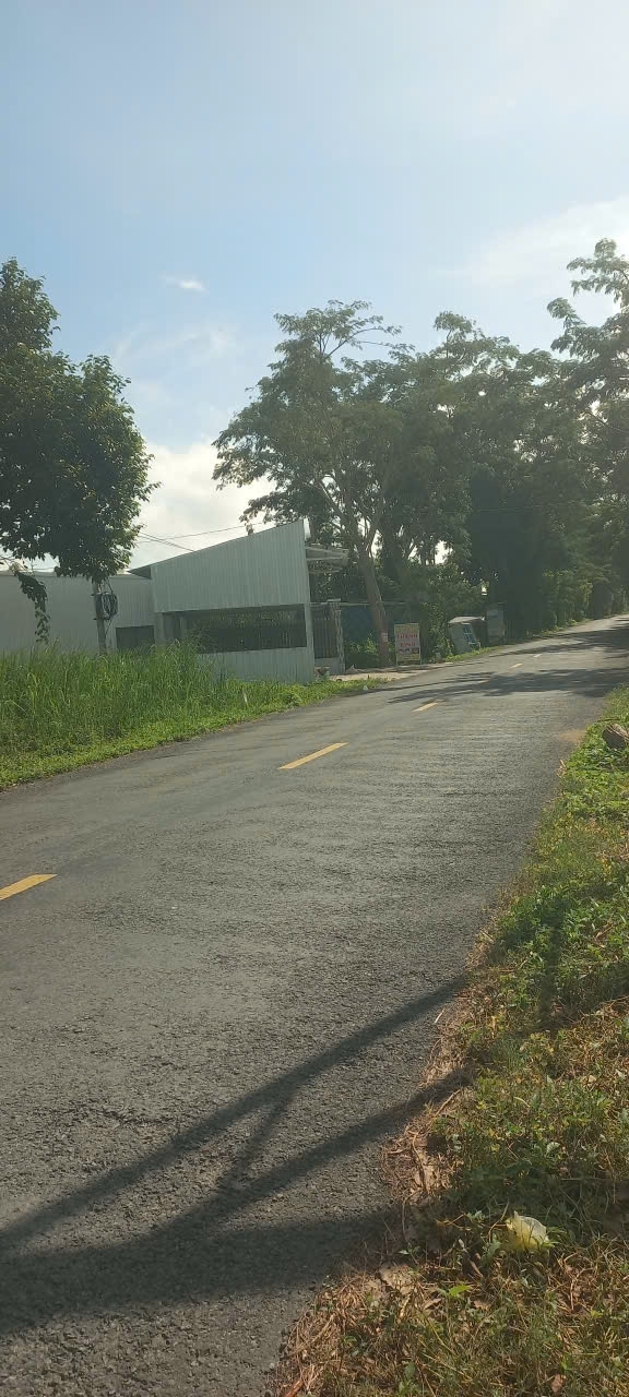 Cần Bán Gấp  Lô Đất Khóm 16 Phường Mỹ Ngãi  Tỉnh Đồng Tháp( Tân Nghĩa  Cao Lãnh  Đồng Tháp Cũ)