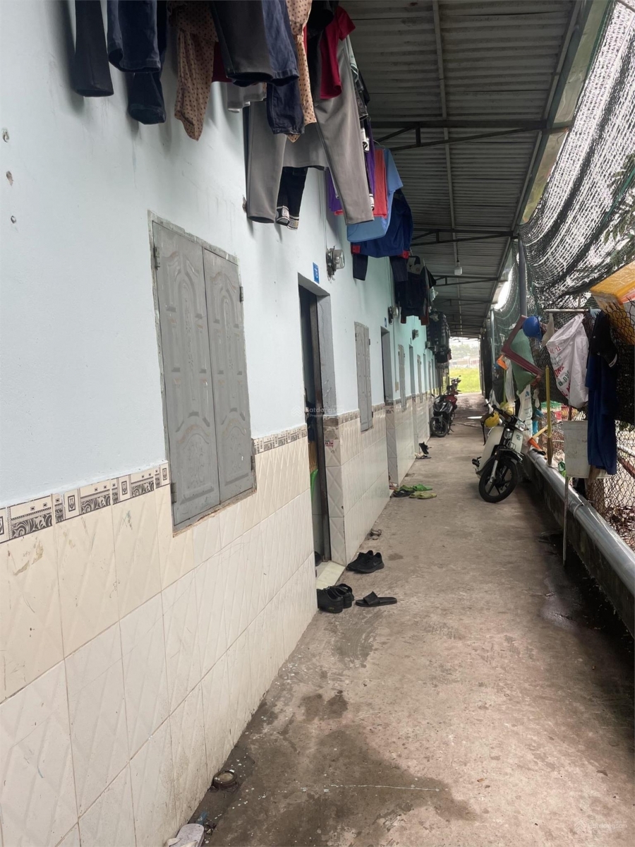 Chính chủ Bán 3 dãy phòng trọ có 55 phòng thu nhập 70tr/th diện tích 1398m2 đất. Giá chỉ 19tr/1m2