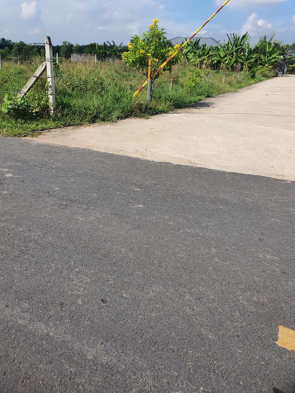 Chính Chủ Bán Lô Đất tại An Điền 045 Phường An Điền Thành Phố Bến Cát Tỉnh Bình Dương.