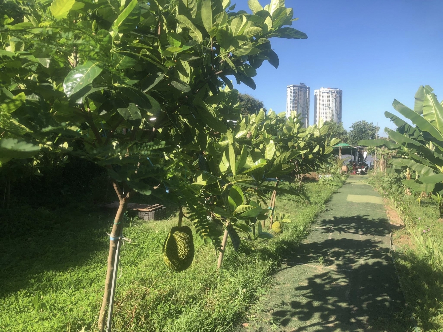 Cho thuê 1200m2 đất ngay chân cầu Long Biên Cà Phê Nhà hàng Vui chơi trải nghiệm 8 triệu