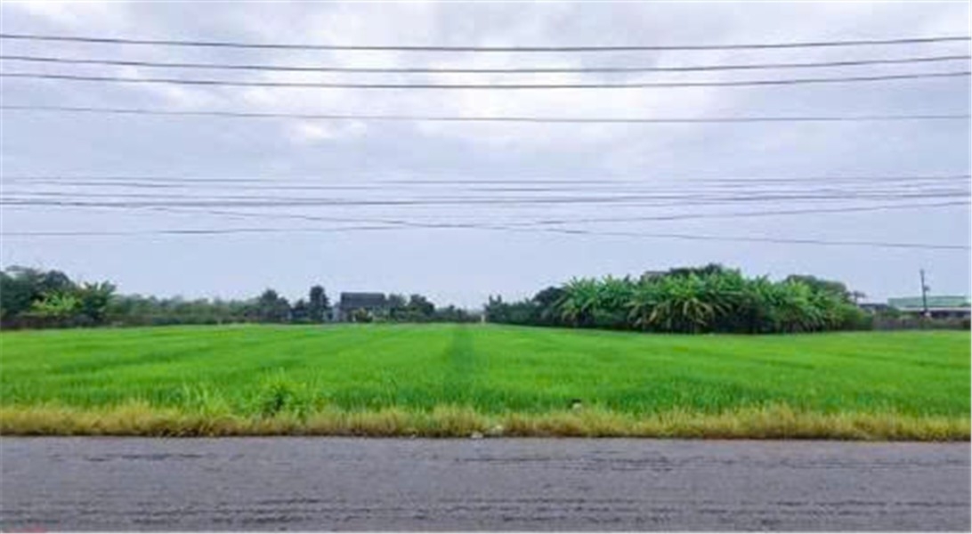 ĐẤT CHÍNH CHỦ - 2 LÔ MẶT TIỀN Đường DT827B Xã Phước Tân Hưng Châu Thành Long An