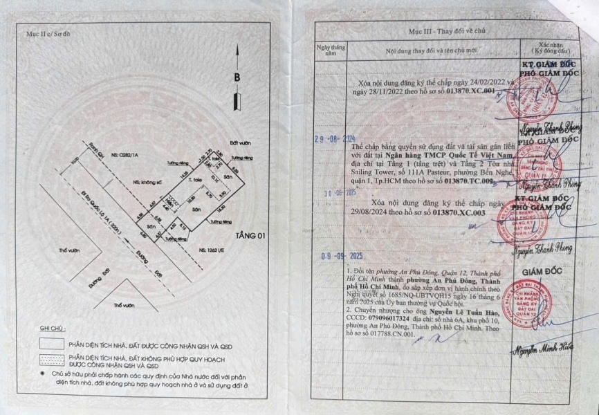 ĐẤT ĐẸP 259M2 MẶT TIỀN AN PHÚ ĐÔNG 09 – GẦN QL1A ĐẤT NỞ HẬU ĐẸP