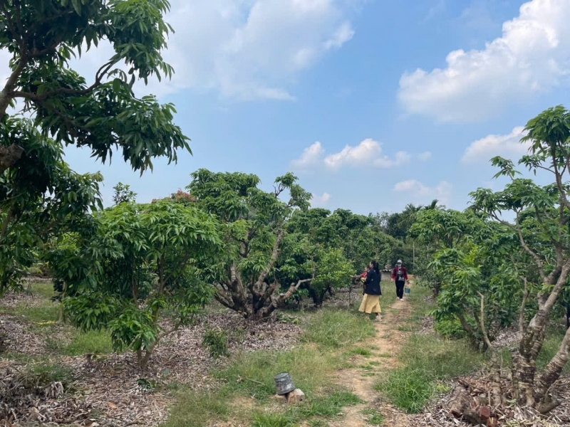 . ĐẤT NỀN CHŨ BẮC NINH GIÁ 450 TRIỆU  420M2  TIỆN ÍCH SẴN  Nguyễn Hùng BĐS - 0989333012