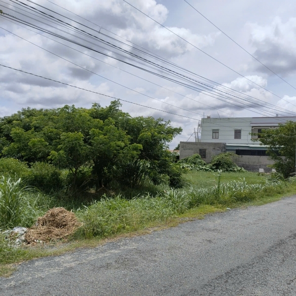 Giá Tốt: Cho Thuê Đất Ruộng 5.400m2 ( 60x90m) Mặt Tiền Huỳnh Châu Sổ P.6 Tp.Tân An